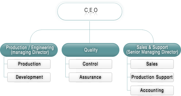 C.E.O  /  ProductionEngineering (Division) : Production, Development  / Quality: control, Quality Assurance  /  Sales & Support (Division) : Sales, Production Support, Accounting